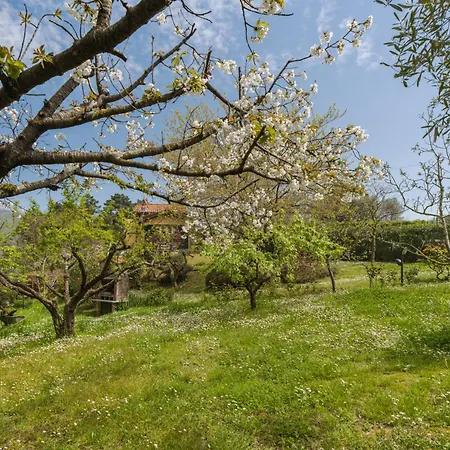 Villa Casa Gianna By Interhome *